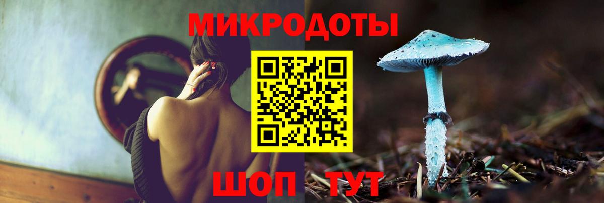 Галлюциногенные грибы Psilocybine cubensis Кувандык